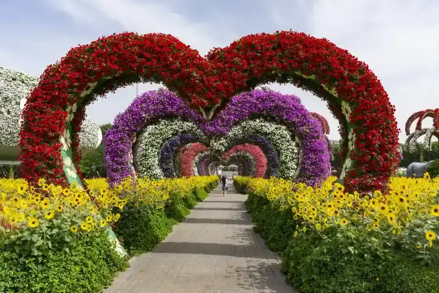 Affordable Landscape Installation Bettendorf, IA Affordable Landscape Installation Bettendorf, IA