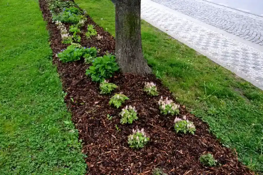 Excellent Mulching Bettendorf, IA Excellent Mulching Bettendorf, IA