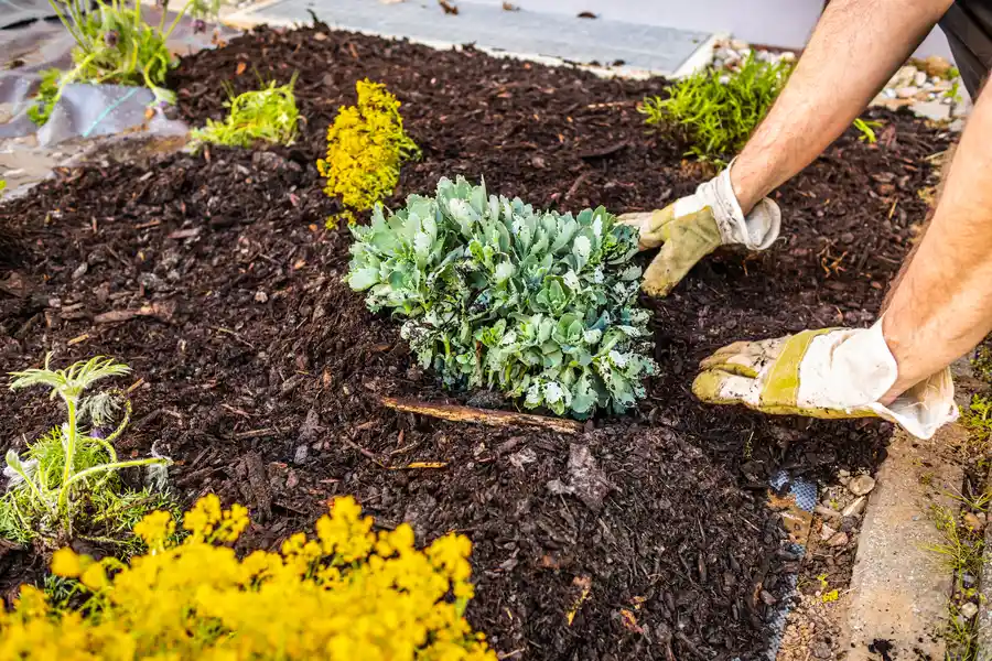 Experienced Mulching Bettendorf, IA Experienced Mulching Bettendorf, IA
