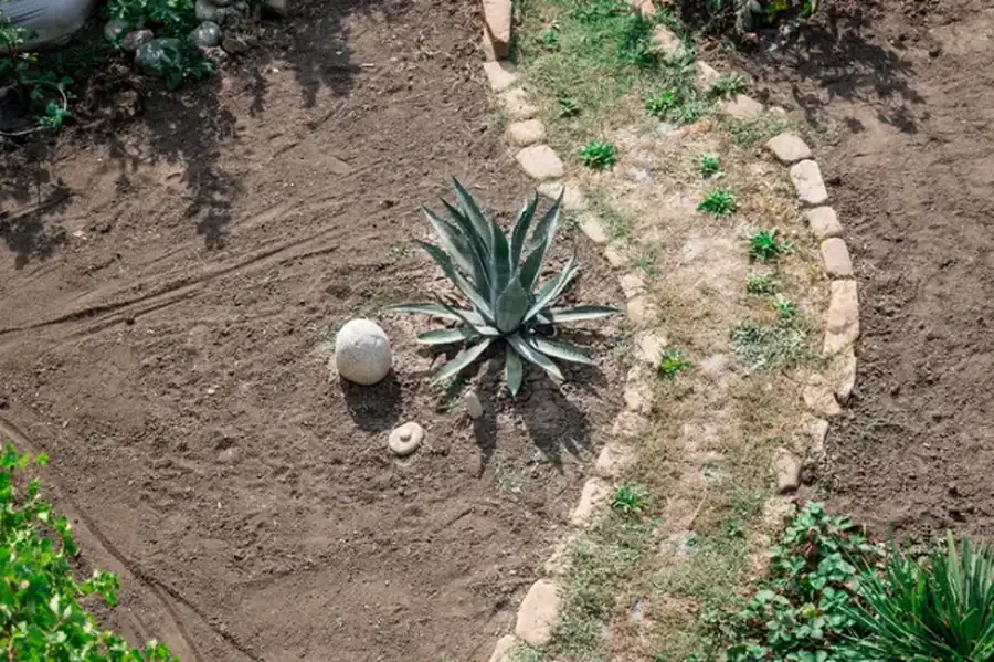 How Landscape Installation Can Improve Outdoor Functionality Bettendorf, IA How Landscape Installation Can Improve Outdoor Functionality Bettendorf, IA
