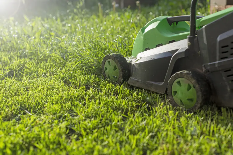 The Environmental Impact Of Regular Lawn Mowing Services in Bettendorf, IA The Environmental Impact Of Regular Lawn Mowing Services in Bettendorf, IA