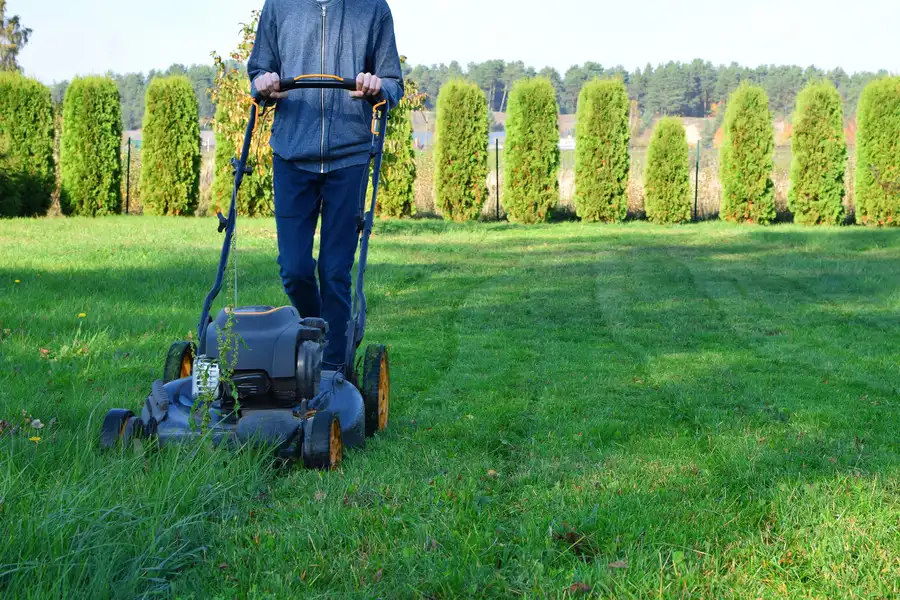The Importance Of Lawn Mowing In Preventing Weed Overgrowth Bettendorf, IA The Importance Of Lawn Mowing In Preventing Weed Overgrowth Bettendorf, IA