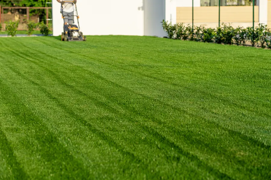The Importance Of Lawn Mowing In Preventing Weed Overgrowth in Bettendorf, IA The Importance Of Lawn Mowing In Preventing Weed Overgrowth in Bettendorf, IA